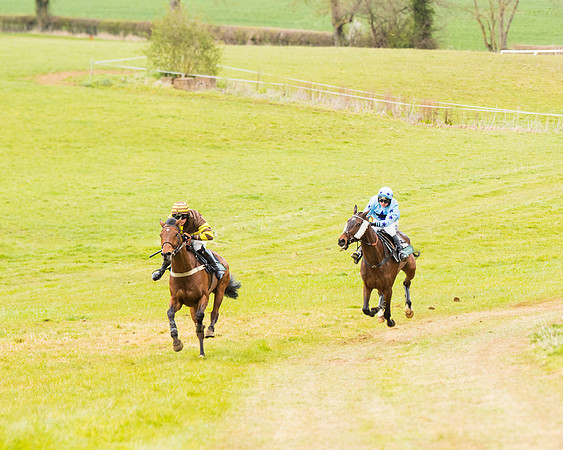 Race 6 - 6 year old and over Maiden 2m4f (25 of 62)