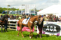 Race 2 - Open Maiden  10