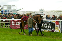 Race 5 - Restriced 9