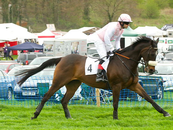 Race 4 - Nov-vets 17