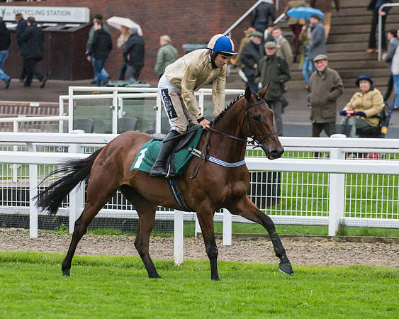 Hazel Hill - Alex Edwards (1 of 32)