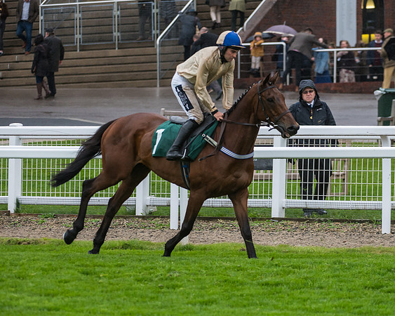 Hazel Hill - Alex Edwards (2 of 32)
