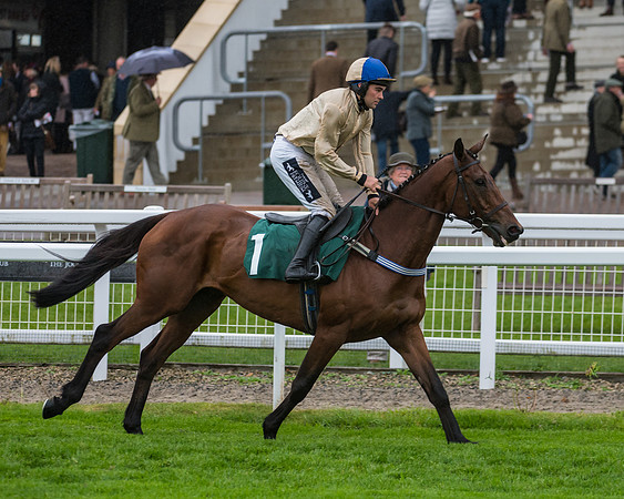 Hazel Hill - Alex Edwards (4 of 32)