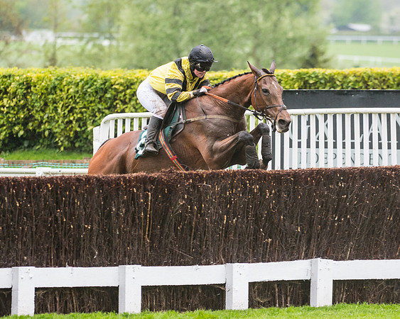 KTDA Racing Hunter Chase (70 of 88)