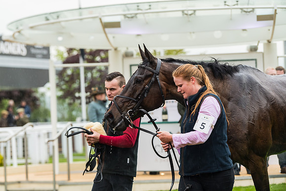Marcle Ridge - Sam Jukes (39 of 50)