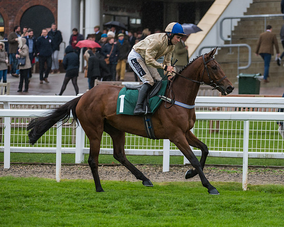 Hazel Hill - Alex Edwards (3 of 32)