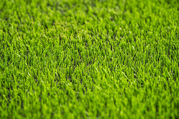 Rams U16 v AFC Lightning (13 of 261)