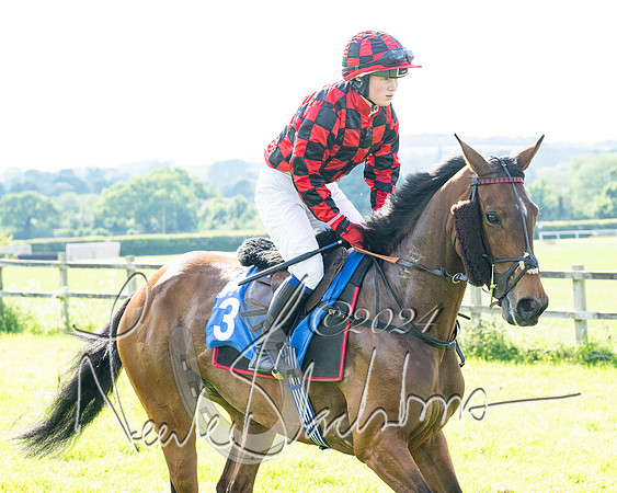 Race 5  - Maiden race 2m5F Div-2 (110 of 205)