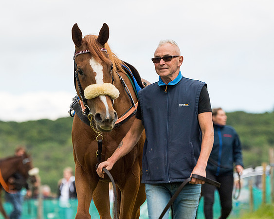 Race 1 - Owner Trainer Conditions  (15 of 133)