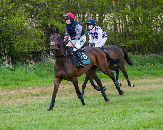 Race 1 - Hunt Members (3 of 178)