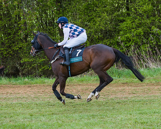 Race 1 - Hunt Members (15 of 178)