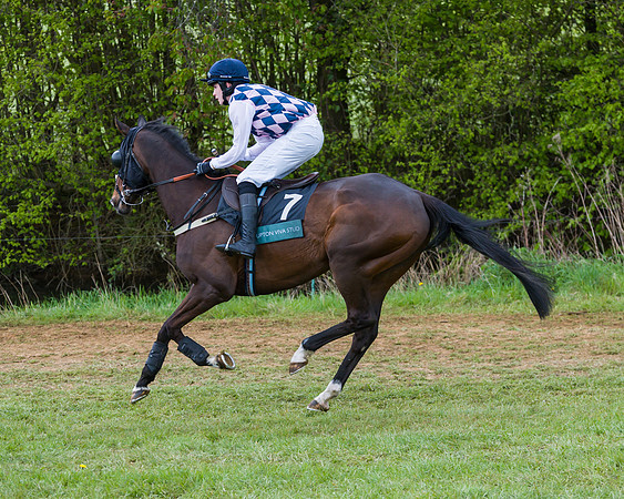 Race 1 - Hunt Members (16 of 178)