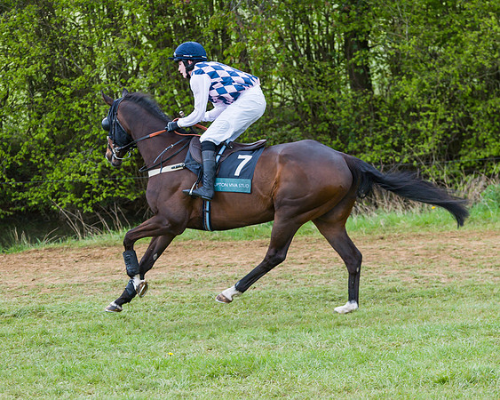 Race 1 - Hunt Members (17 of 178)