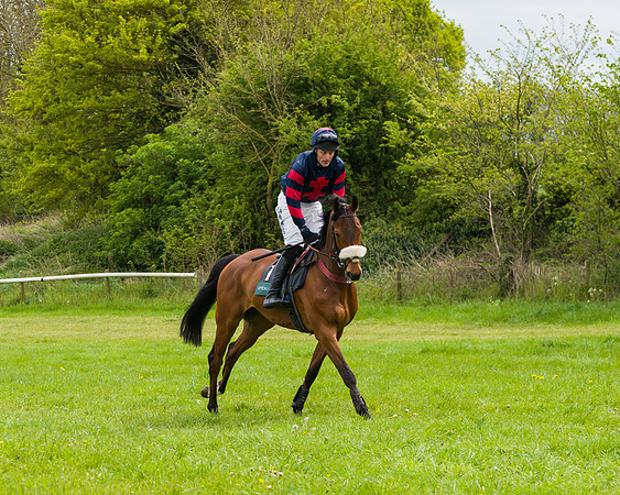 Race 2 - Young Horse Maiden (1 of 48)