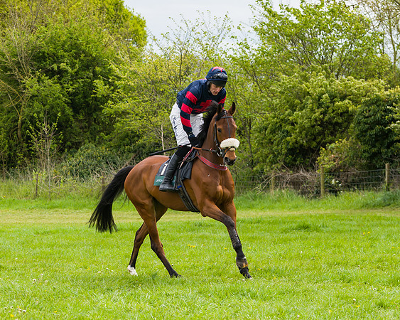 Race 2 - Young Horse Maiden (2 of 48)