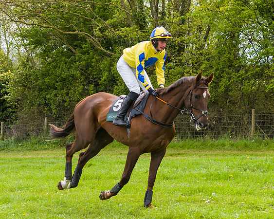 Race 2 - Young Horse Maiden (4 of 48)