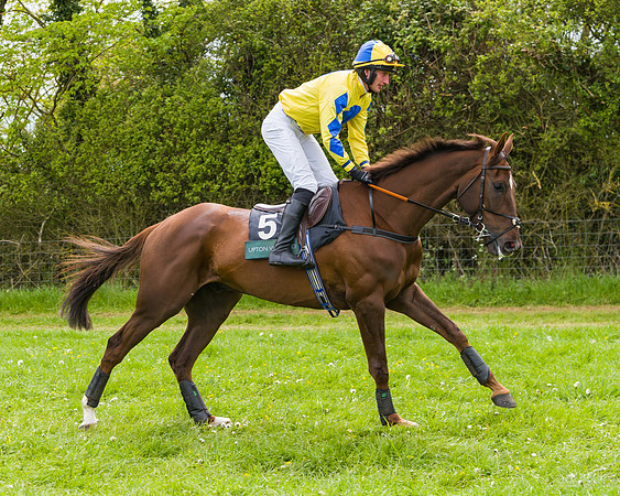 Race 2 - Young Horse Maiden (7 of 48)