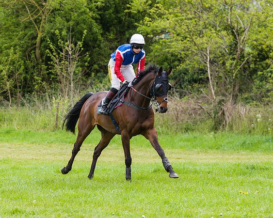 Race 2 - Young Horse Maiden (9 of 48)
