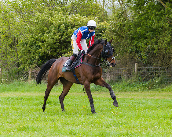 Race 2 - Young Horse Maiden (10 of 48)