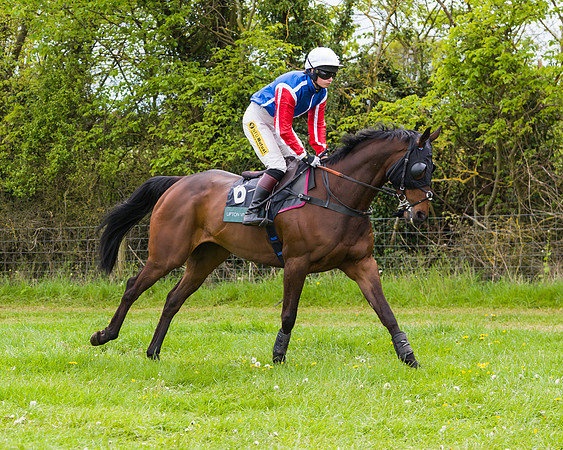 Race 2 - Young Horse Maiden (11 of 48)