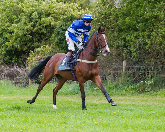 Race 2 - Young Horse Maiden (13 of 48)