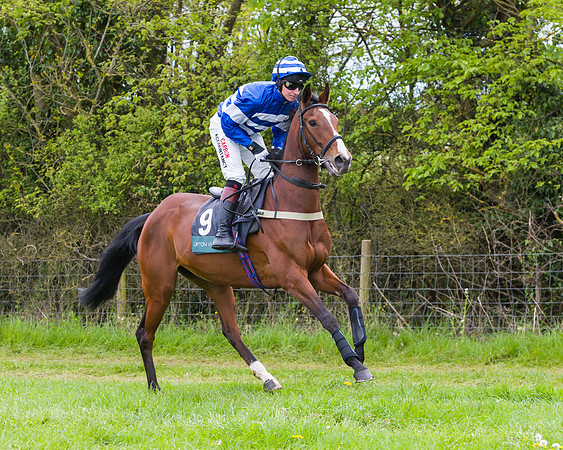 Race 2 - Young Horse Maiden (14 of 48)