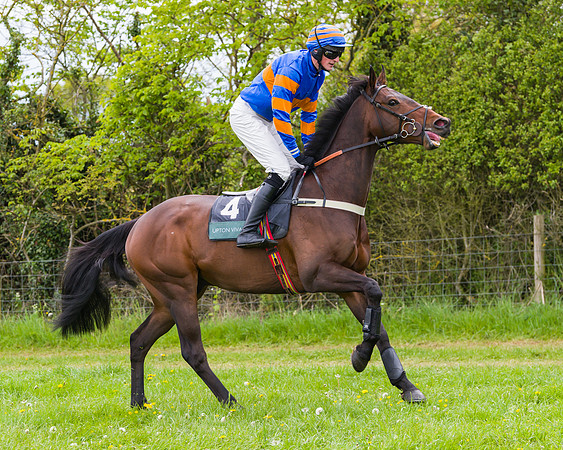 Race 2 - Young Horse Maiden (16 of 48)