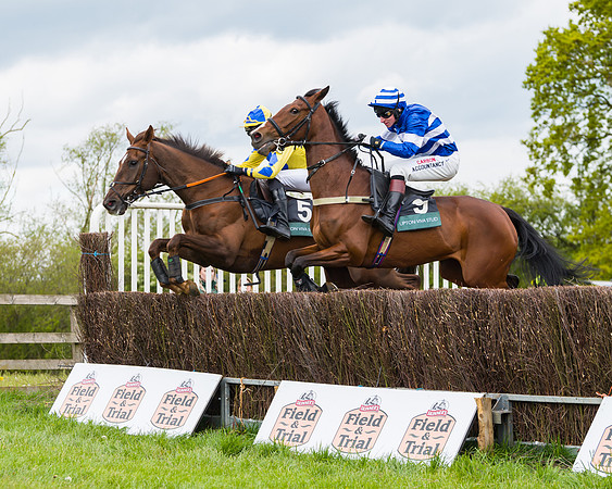 Race 2 - Young Horse Maiden (18 of 48)