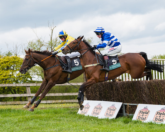 Race 2 - Young Horse Maiden (19 of 48)