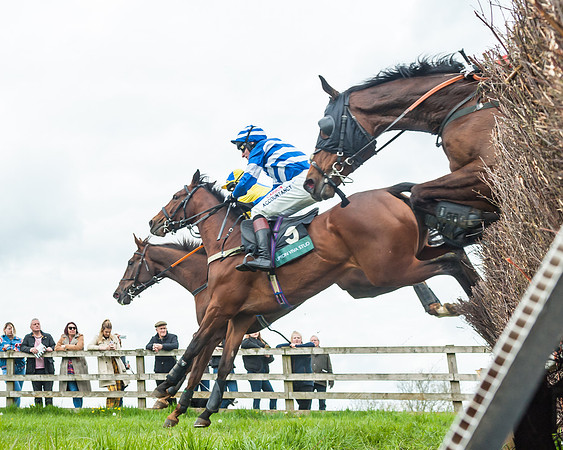 Race 2 - Young Horse Maiden (20 of 48)
