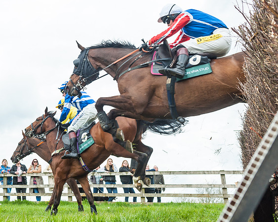Race 2 - Young Horse Maiden (22 of 48)