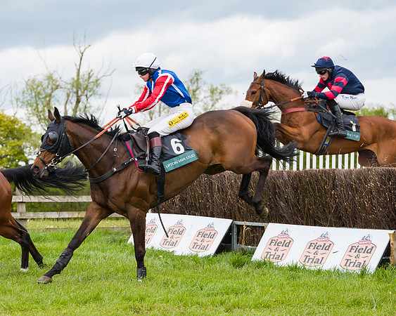 Race 2 - Young Horse Maiden (23 of 48)