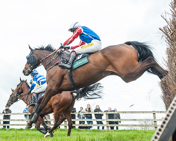 Race 2 - Young Horse Maiden (24 of 48)