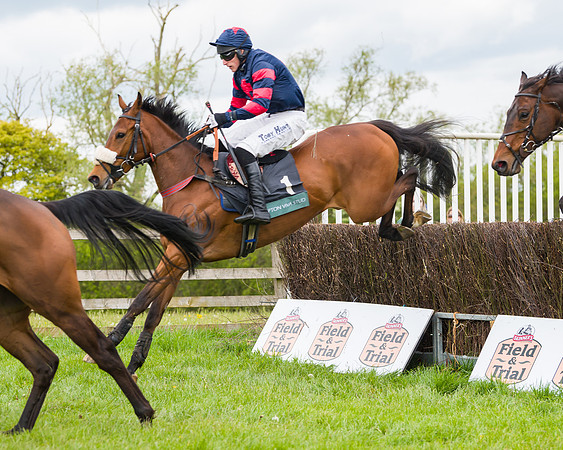 Race 2 - Young Horse Maiden (26 of 48)