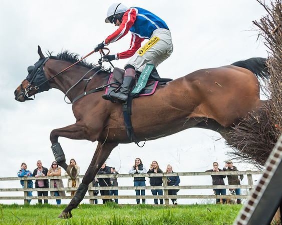 Race 2 - Young Horse Maiden (32 of 48)