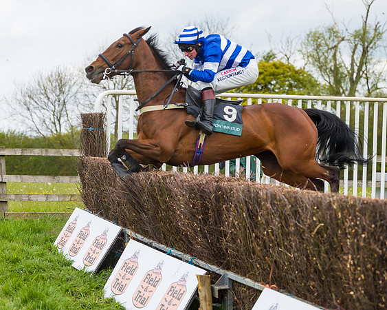 Race 2 - Young Horse Maiden (33 of 48)