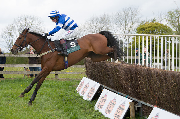 Race 2 - Young Horse Maiden (34 of 48)