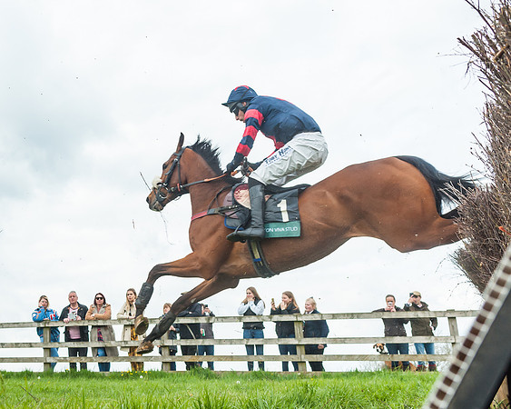 Race 2 - Young Horse Maiden (36 of 48)