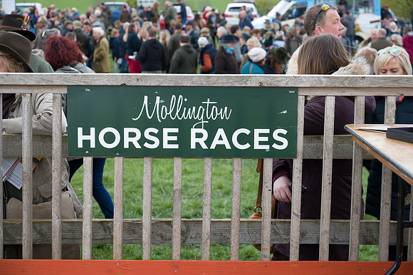 Race 2 - Young Horse Maiden (45 of 48)