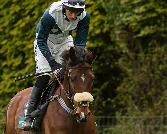 Race 5 - Mens Open  (6 of 90)