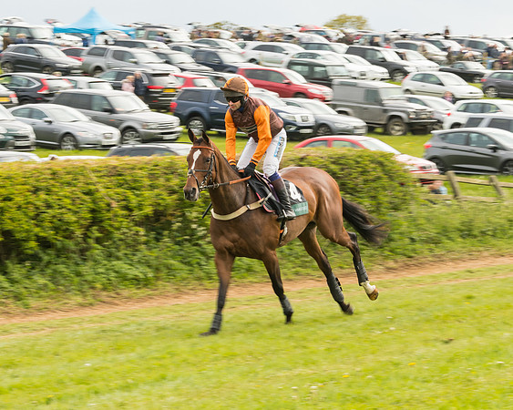 Race 7 - Open Maiden (4 of 157)