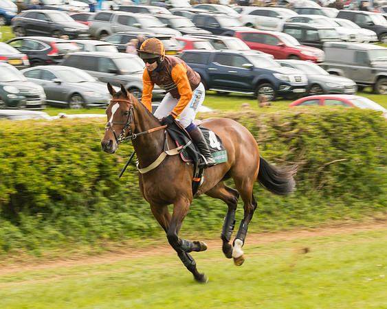 Race 7 - Open Maiden (5 of 157)