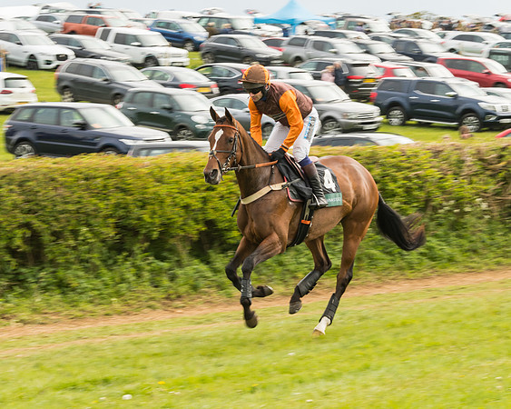 Race 7 - Open Maiden (6 of 157)