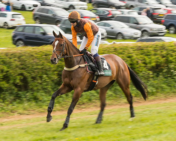 Race 7 - Open Maiden (7 of 157)