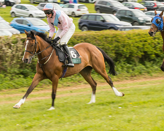 Race 7 - Open Maiden (8 of 157)