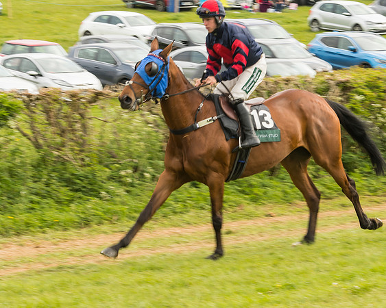 Race 7 - Open Maiden (9 of 157)
