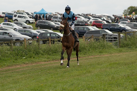 Race 7 - Open Maiden (95 of 157)