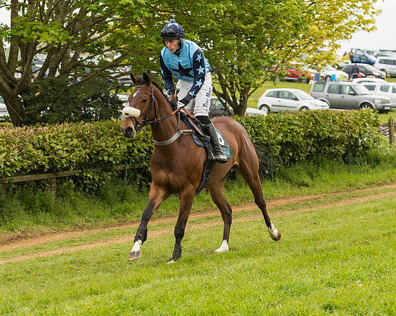 Race 7 - Open Maiden (96 of 157)