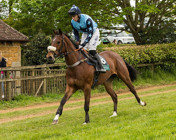 Race 7 - Open Maiden (97 of 157)