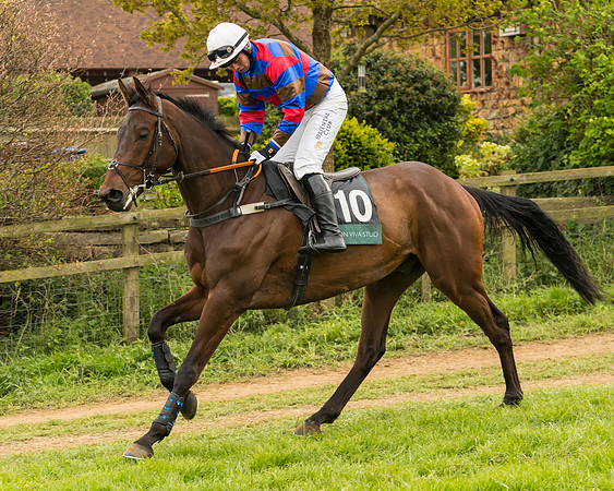 Race 7 - Open Maiden (99 of 157)